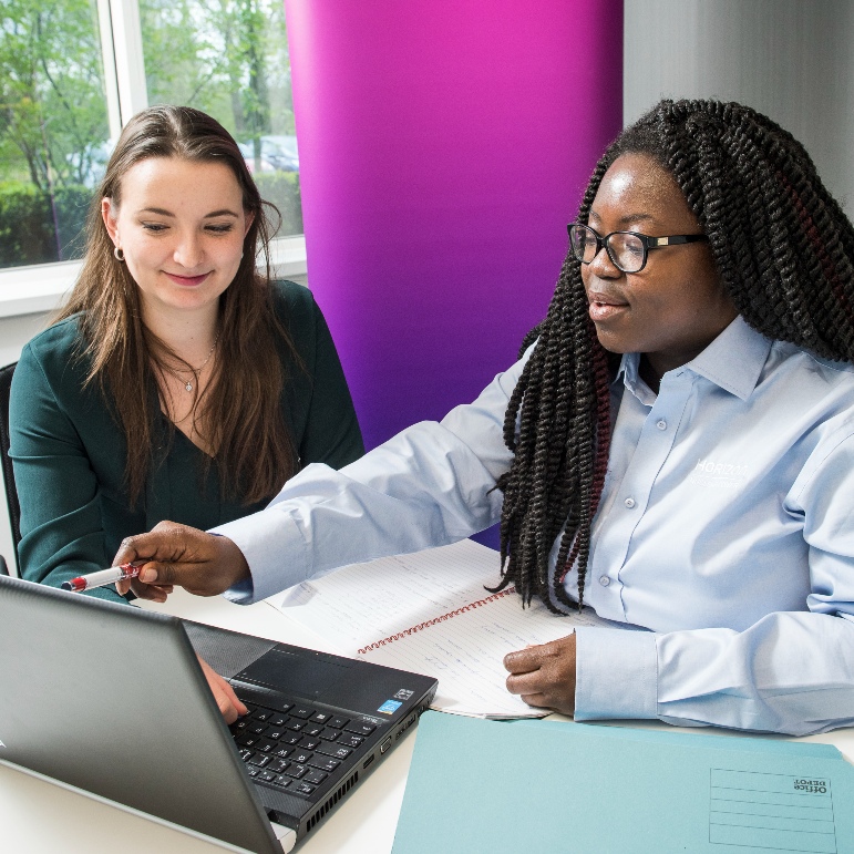 A University of Bath placement student and their mentor talking