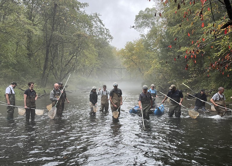 Fisheries biologists and DNR staff used an electrofisher machine to briefly stun fish, scoop them up with nets, and then place in bucket so the fish could be measured, counted, and then released.