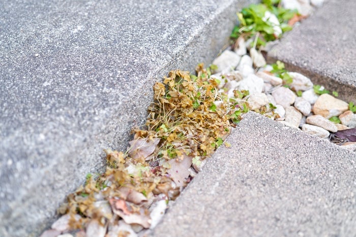 液体タイプの「おうちの草コロリ」　効果