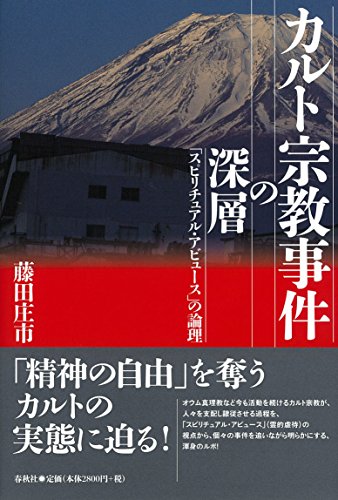 カルト宗教事件の深層: 「スピリチュアル・アビュース」の論理