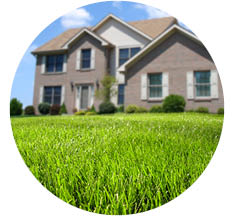 image of a house on a hill with green grass in frontt