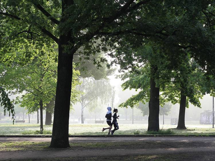 The most scenic jogging routes in Tokyo