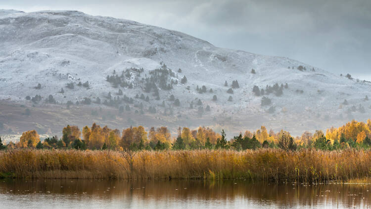 Meall a’Bhuachaille, Cairngorms