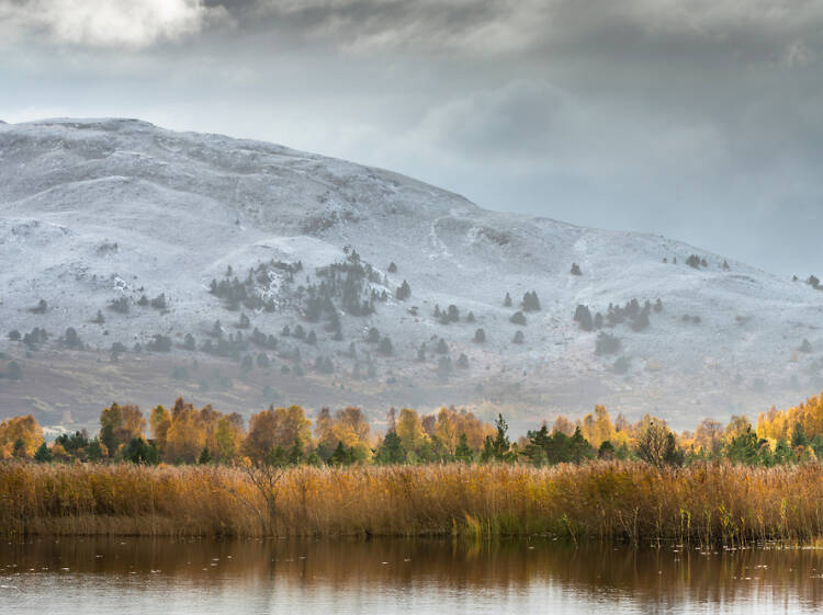 Meall a’Bhuachaille, Cairngorms