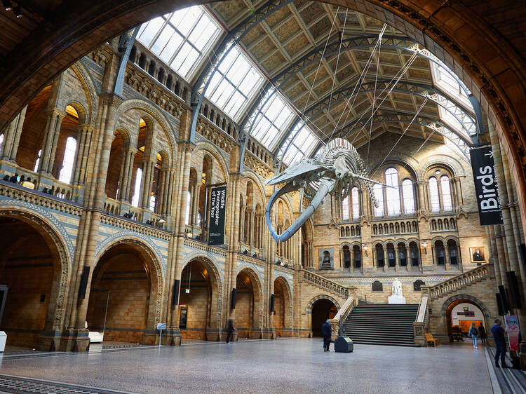 Natural History Museum