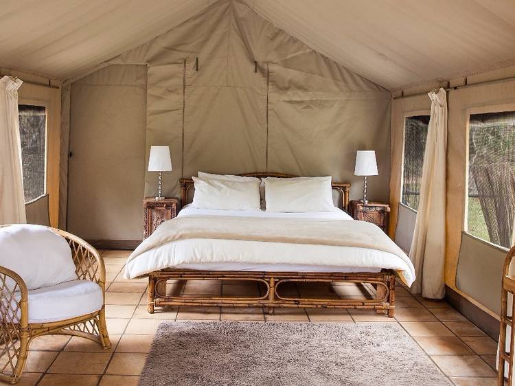 The best glamping sites in NSW