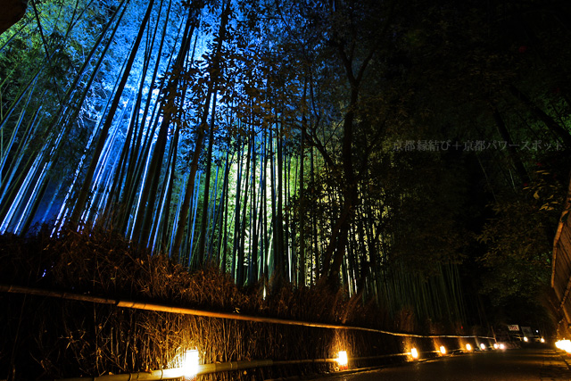 嵐山花灯路 竹林の小径