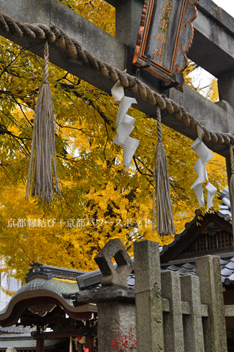 東三条大将軍神社の紅葉