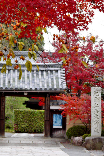 神光院の紅葉