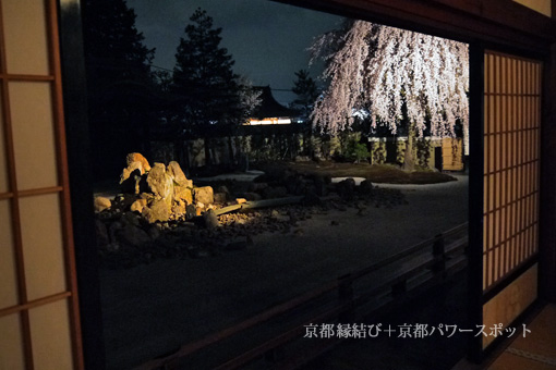 高台寺の枝垂桜