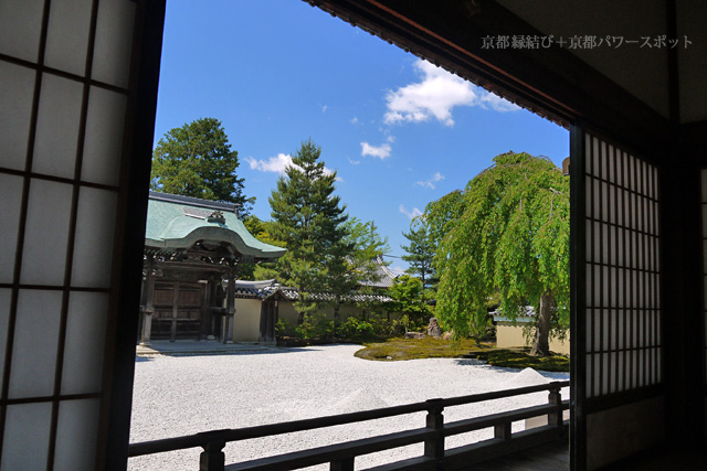 新緑の高台寺 方丈前庭