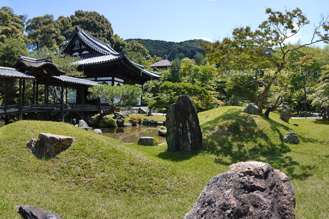 新緑の高台寺 方丈前庭