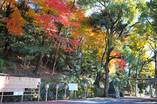 諸羽神社の紅葉