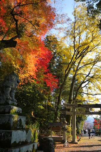 諸羽神社の紅葉