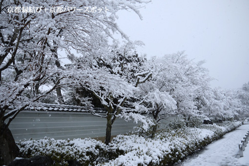 妙満寺の雪景色