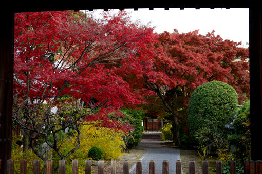 妙心寺大通院