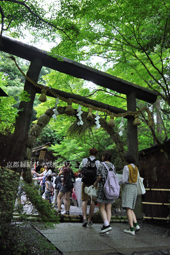 野宮神社の茅の輪