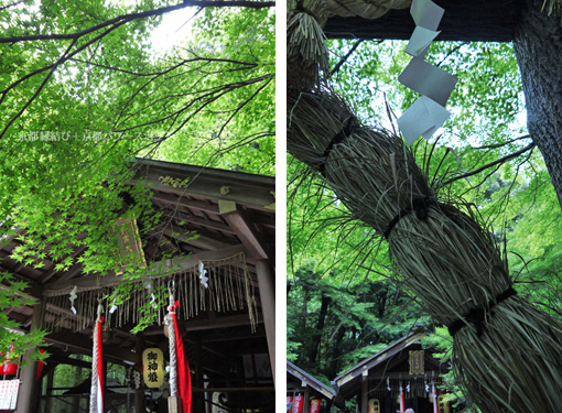 野宮神社の茅の輪