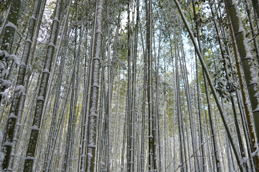 野宮神社