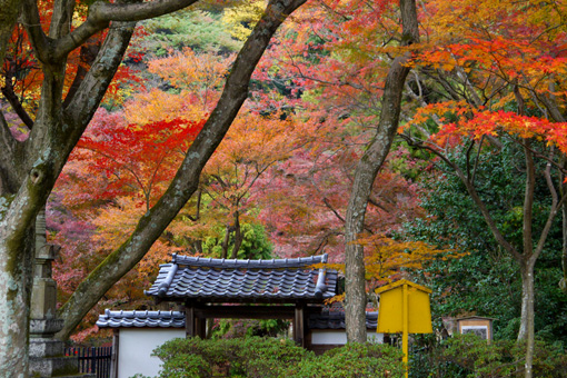 清閑寺