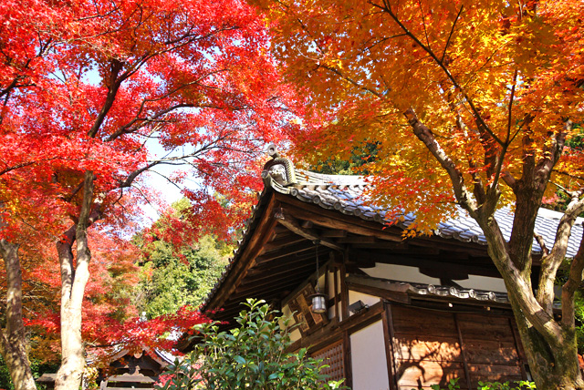 清閑寺の紅葉