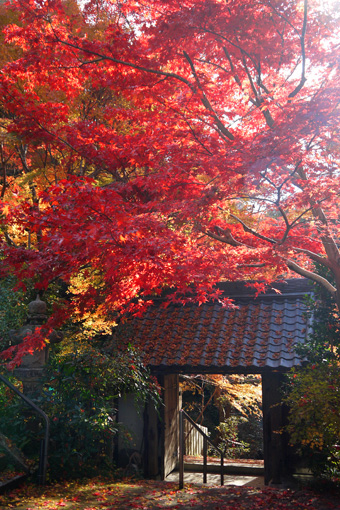 山科聖天