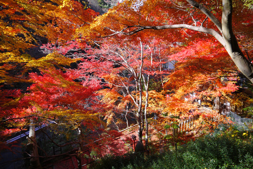 山科聖天