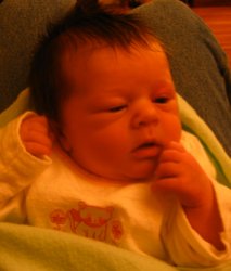 A closeup picture of Carolyn, showing her hazel eyes and shock of dark hair to full effect.