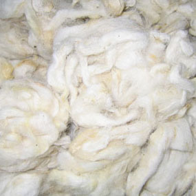 wool-youmou