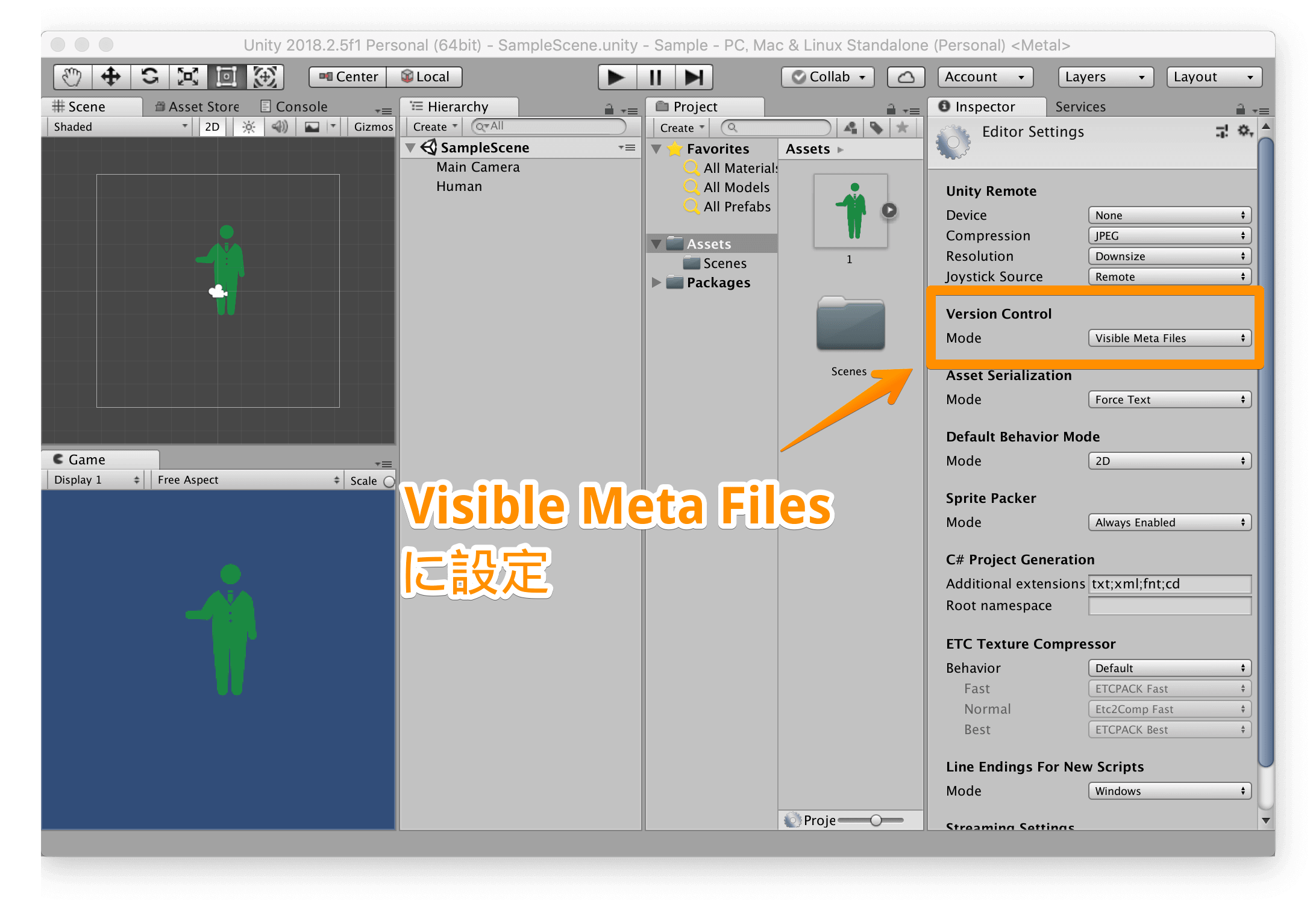 「Version Control」を「Visible Meta Files」にする