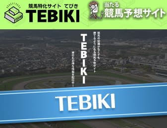 TEBIKI