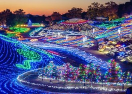 広大な大地を彩るグランドイルミネーション