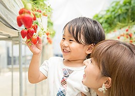 大人の腰程度の取りやすい高さにある