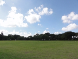 開放感あふれる芝生の空間が広がる