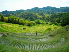 眼下に広がる日本の原風景