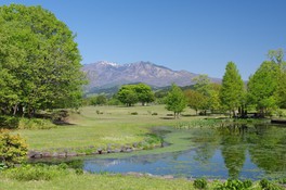 緑あふれる豊かな自然が魅力のキャンプ場