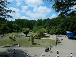 園内には緑に恵まれた探索路が多数ある