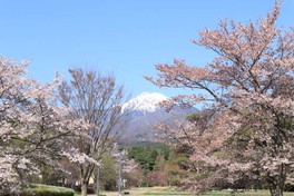 公園からは常念岳が望める