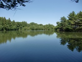 木々に囲まれ静かで落ち着いた雰囲気の園内