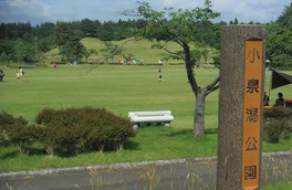 散策やレクリエーションの場として県民に親しまれている