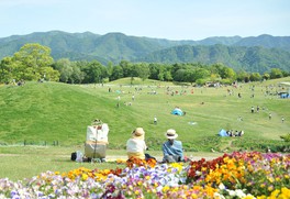 国営讃岐まんのう公園