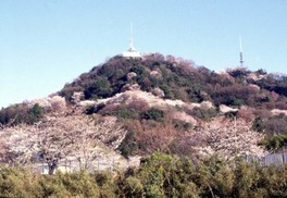 黄金山の初日の出