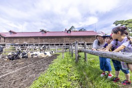 小岩井農場まきば園