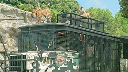 動物の息遣いを感じることができる冒険ライド