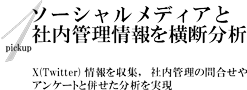 ソーシャルメディアと社内管理情報を横断分析。X(Twitter)・ブログ情報を収集、社内管理の問い合わせやアンケートと合わせた分析を実現