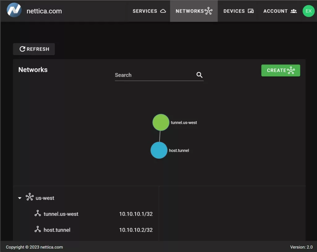 Nettica VPN Service DNS Microservice