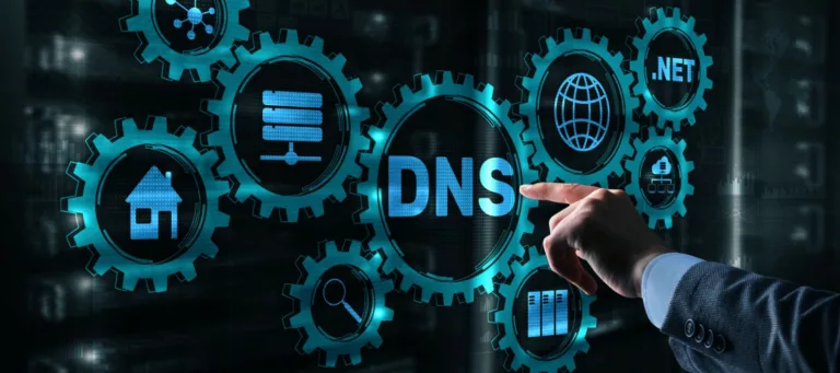 Nettica DNS Microservice