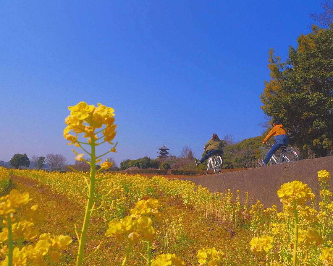 サイクリング×温泉×ベーカリー、岡山県総社市で「～きびポタ～　春の自転車さんぽ」開催