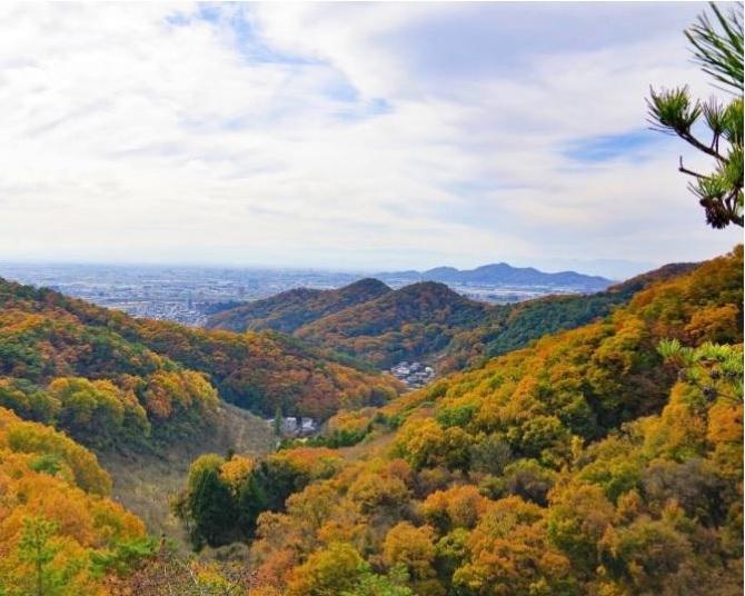 初心者にもおすすめ！絶景の紅葉が楽しめる登山、栃木・織姫神社から両崖山【見頃｜11月中旬〜11月下旬】