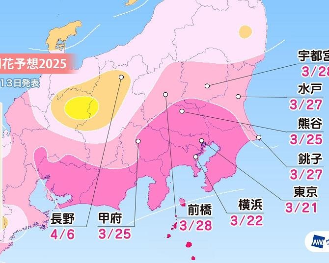 2025年の桜開花予想(関東・甲信・北陸・東海編)　東京が東日本の開花一番乗り予想